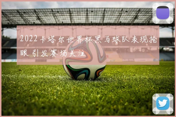 2022卡塔尔世界杯黑马球队表现抢眼 引发赛场关注