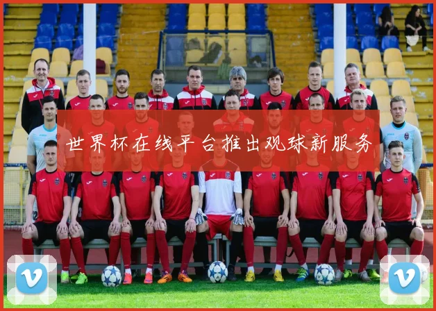 世界杯在线平台推出观球新服务
