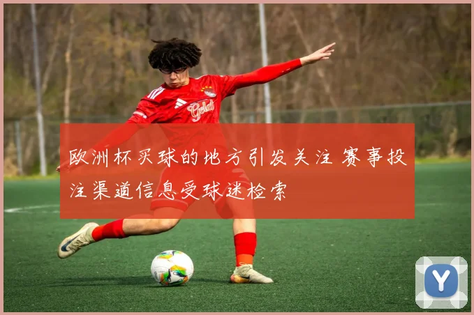 欧洲杯买球的地方引发关注 赛事投注渠道信息受球迷检索