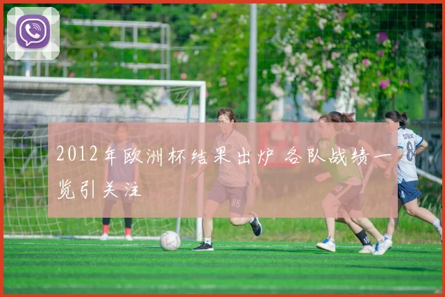 2012年欧洲杯结果出炉 各队战绩一览引关注