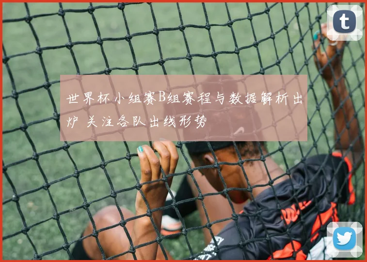 世界杯小组赛B组赛程与数据解析出炉 关注各队出线形势
