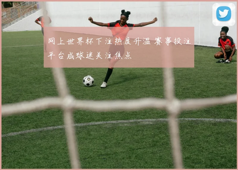 网上世界杯下注热度升温 赛事投注平台成球迷关注焦点
