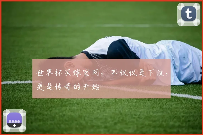 世界杯买球官网，不仅仅是下注，更是传奇的开始