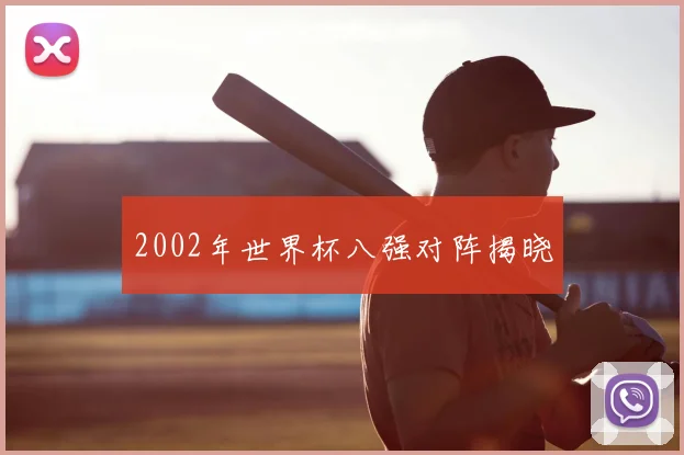 2002年世界杯八强对阵揭晓
