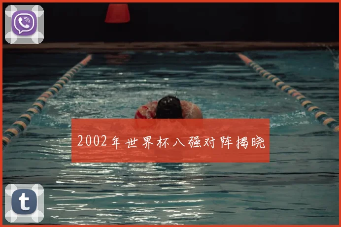 2002年世界杯八强对阵揭晓