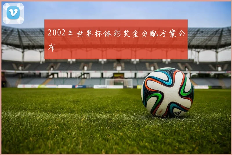 2002年世界杯体彩奖金分配方案公布